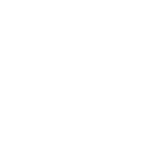 Professional Technical Consultation Solution Matching